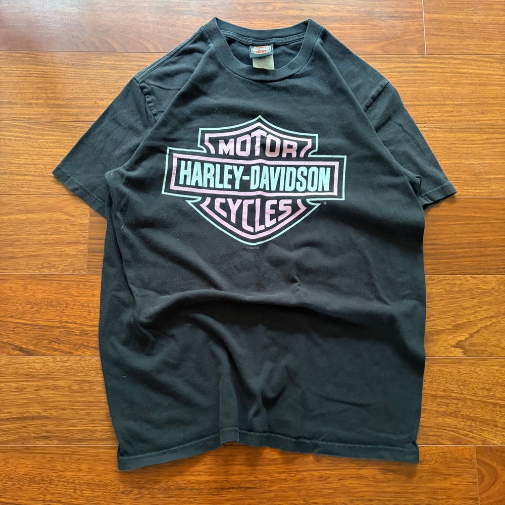 Y2K Harley-Davidson 2009 Pig Trail Eureka Springs AR Graphic T-Shirt Black L